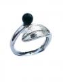 anello-1619