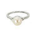 anello-2545