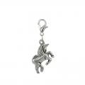 Charms cavalli