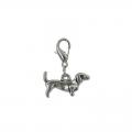 Charms cani
