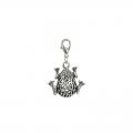 Charms rane